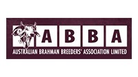 Beef Country Brahman Bull Sale