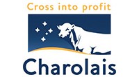 Bardoo Charolais Bull Sale