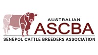 NT Senepols Annual Bull Sale