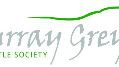Premier Murray Grey Sale