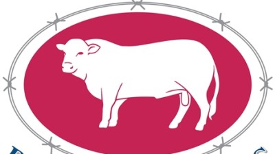 Seifert Belmont Red Bull Sale