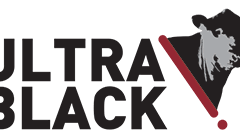 Palgrove Hunter Valley Charolais & Ultrablack Bull Sale