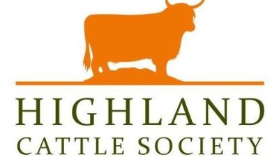 Northwood Scottish Highland Online Bull & Female Sale