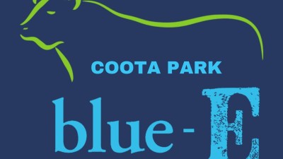 Coota Park Blue E Composite Bull Sale
