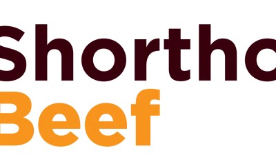 Bungulla/Nagol Park Shorthorn Bull Sale