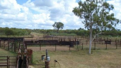 Binkar QLD