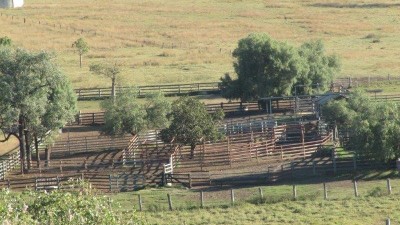 Munbooree Station QLD
