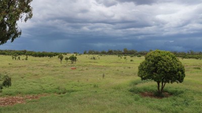 Oak Park Aggregation QLD