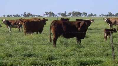 Thorner Station QLD