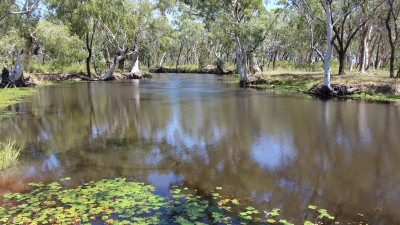 Bingeringo QLD