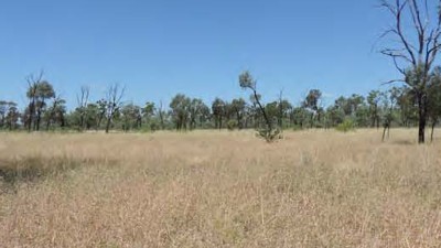 Broadleigh Downs and Devon Park QLD