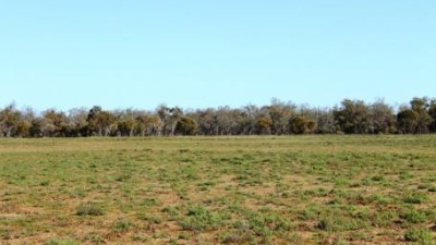 Cuttabunda Aggregation (Cuttabunda, Muckerawa, Wirrawa & Willawillingbah) NSW