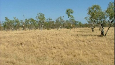 Esmeralda Station QLD