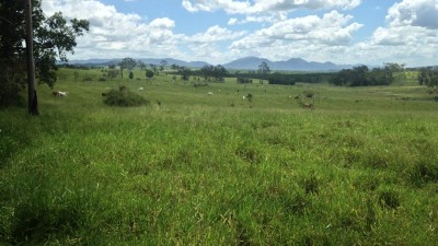 Former Timber Plantations QLD