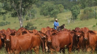 Goomeri Aggregation (Stockhaven and Sunnydale) QLD