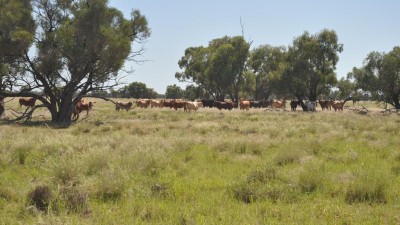 Gunnadorah QLD