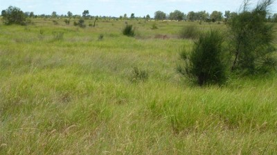 Honeymah QLD