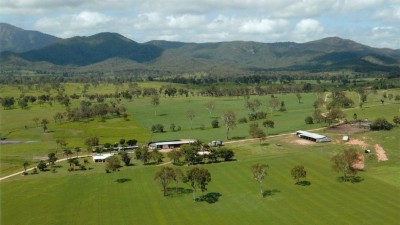 Hylton Park QLD
