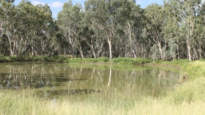 Kurrajong QLD