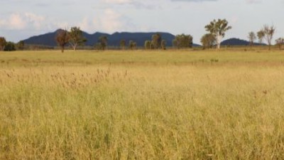 Liontown QLD