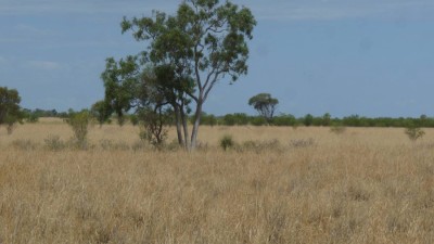 Llorac and Pastoria QLD