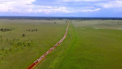 Natal Downs, Longton Station & Narellan QLD