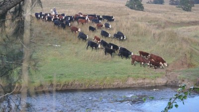Nowendoc NSW