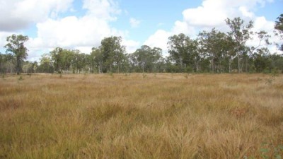 Slatey Creek QLD