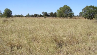 Struan QLD