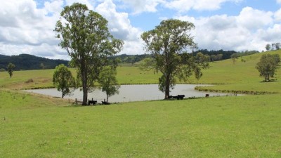 Tillegra Valley Aggregation NSW