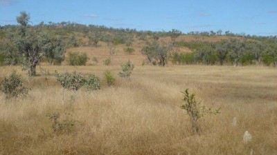 Torrlinger QLD