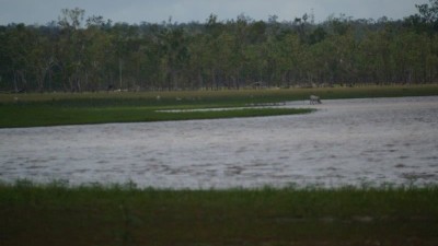 Yammanie QLD