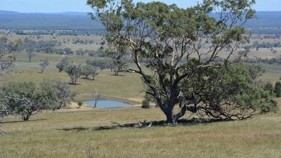 Beverley Downs NSW