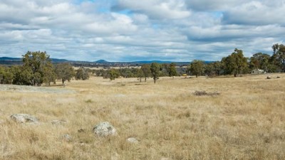 Brushgrove NSW