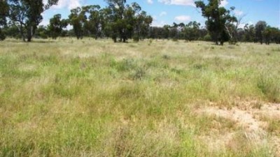 Bulloo Lakes QLD