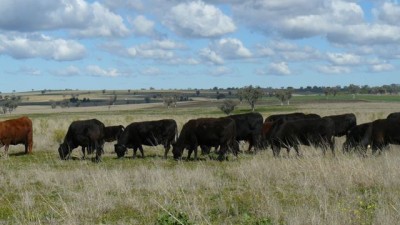 Colomie NSW