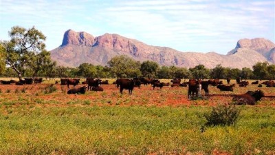 Derwent Station & Glen Helen Station NT