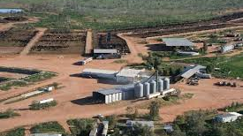 Kia Ora Feedlot NSW
