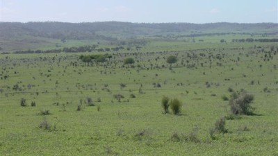 Marama QLD