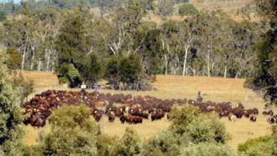 Moocoorooba QLD