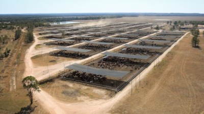 Opal Creek Feedlot QLD