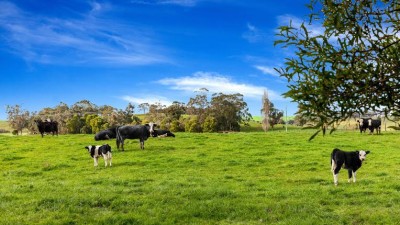 Shady Creek VIC