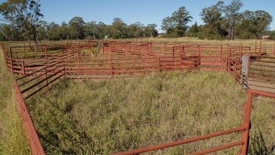 Traighli QLD