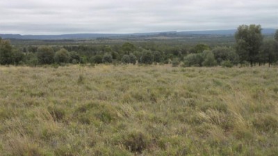 Woonoona QLD