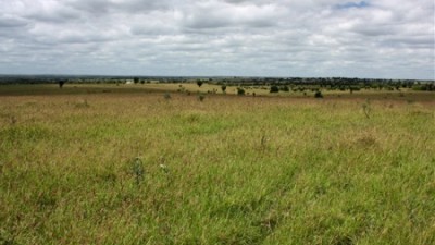 Yeovil QLD