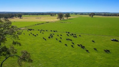 Beckworth Court VIC