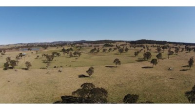 Braeside NSW