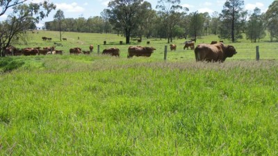 Lorrraine & Spring Hill QLD