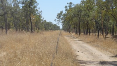 Mayvale QLD