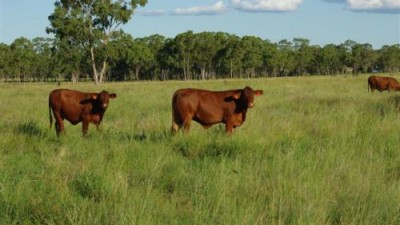Moonya & Tannaby Aggregation QLD
